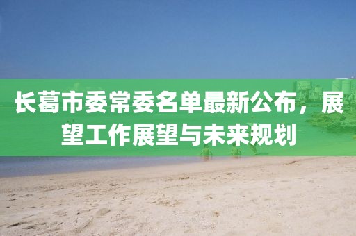 长葛市委常委名单最新公布，展望工作展望与未来规划