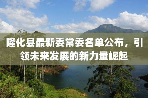 隆化县最新委常委名单公布，引领未来发展的新力量崛起