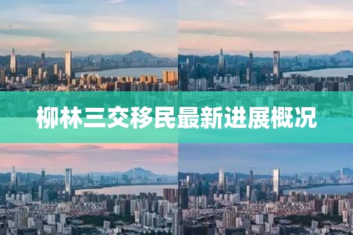柳林三交移民最新进展概况