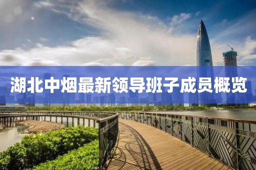 湖北中烟最新领导班子成员概览