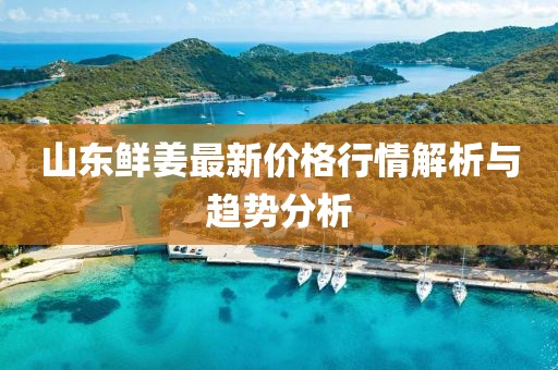 山东鲜姜最新价格行情解析与趋势分析