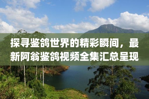 探寻鉴鸽世界的精彩瞬间，最新阿翁鉴鸽视频全集汇总呈现