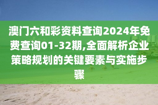澳门六和彩资料查询2024年免费查询01-32期,全面解析企业策略规划的关键要素与实施步骤