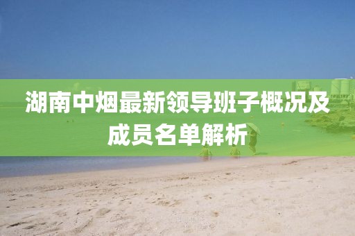 湖南中烟最新领导班子概况及成员名单解析