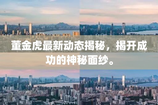 董金虎最新动态揭秘，揭开成功的神秘面纱。