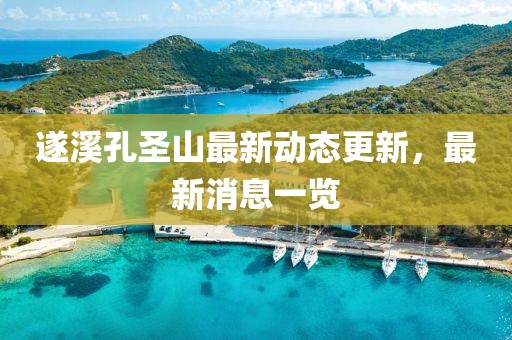 遂溪孔圣山最新动态更新，最新消息一览