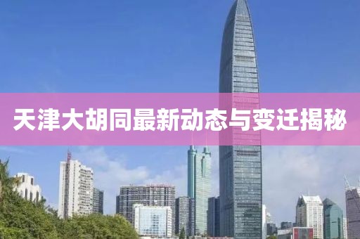 天津大胡同最新动态与变迁揭秘