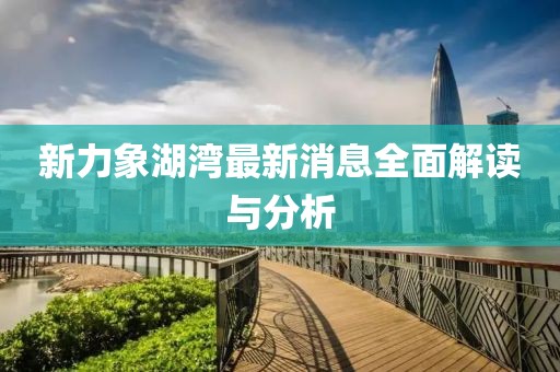 新力象湖湾最新消息全面解读与分析