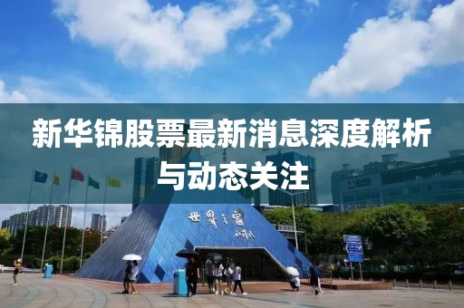新华锦股票最新消息深度解析与动态关注