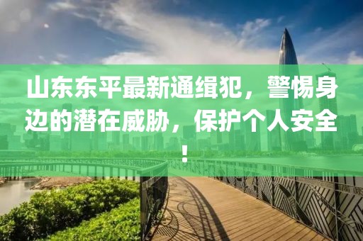 山东东平最新通缉犯，警惕身边的潜在威胁，保护个人安全！