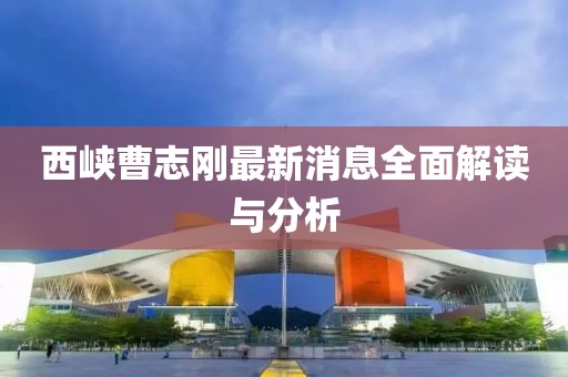 西峡曹志刚最新消息全面解读与分析