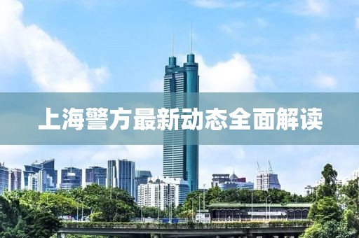上海警方最新动态全面解读