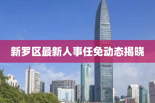 新罗区最新人事任免动态揭晓