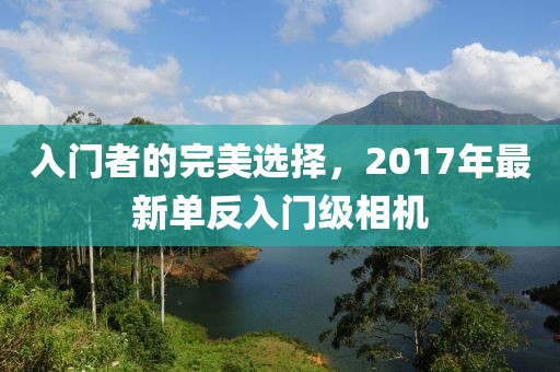 入门者的完美选择，2017年最新单反入门级相机