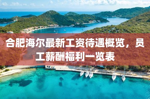 合肥海尔最新工资待遇概览，员工薪酬福利一览表