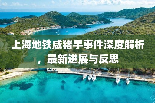 上海地铁咸猪手事件深度解析，最新进展与反思