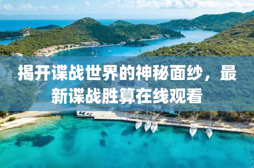 揭开谍战世界的神秘面纱，最新谍战胜算在线观看