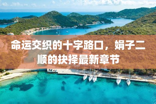 命运交织的十字路口，娟子二顺的抉择最新章节