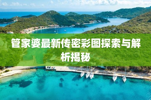 管家婆最新传密彩图探索与解析揭秘