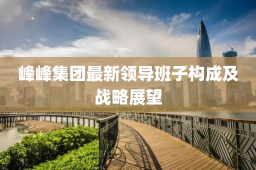 峰峰集团最新领导班子构成及战略展望