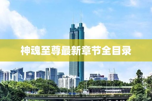 神魂至尊最新章节全目录