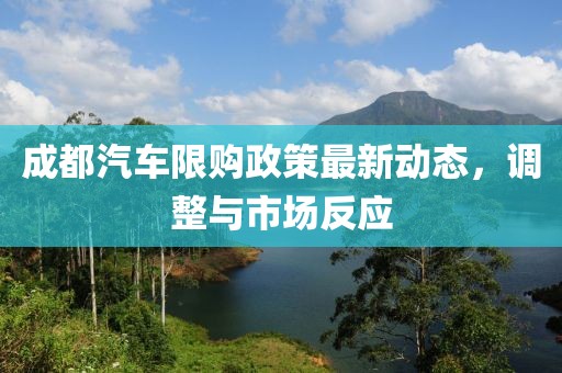成都汽车限购政策最新动态，调整与市场反应
