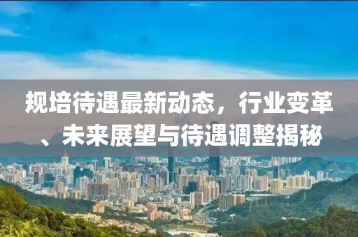 规培待遇最新动态，行业变革、未来展望与待遇调整揭秘