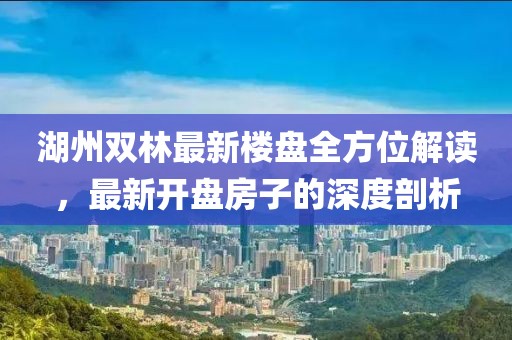 湖州双林最新楼盘全方位解读，最新开盘房子的深度剖析