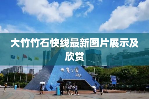 大竹竹石快线最新图片展示及欣赏