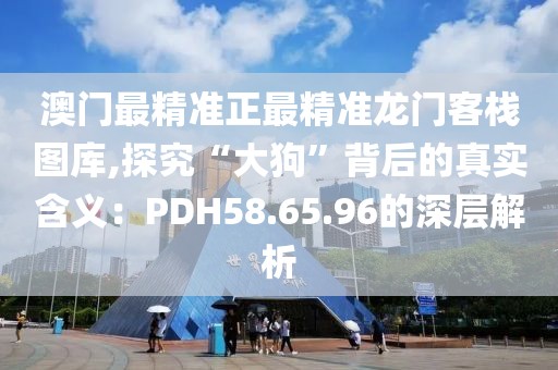 澳门最精准正最精准龙门客栈图库,探究“大狗”背后的真实含义：PDH58.65.96的深层解析