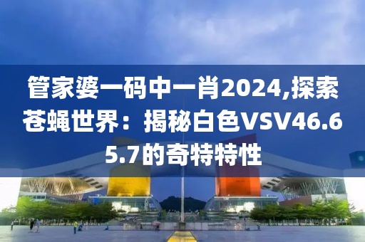 管家婆一码中一肖2024,探索苍蝇世界：揭秘白色VSV46.65.7的奇特特性