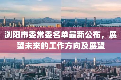 浏阳市委常委名单最新公布，展望未来的工作方向及展望