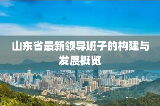 山东省最新领导班子的构建与发展概览