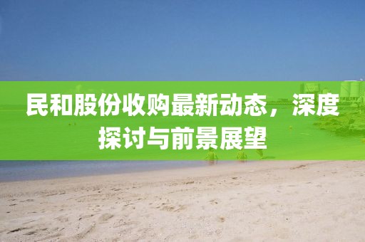 民和股份收购最新动态，深度探讨与前景展望