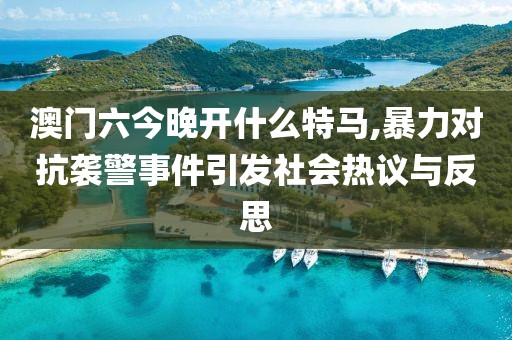 澳门六今晚开什么特马,暴力对抗袭警事件引发社会热议与反思