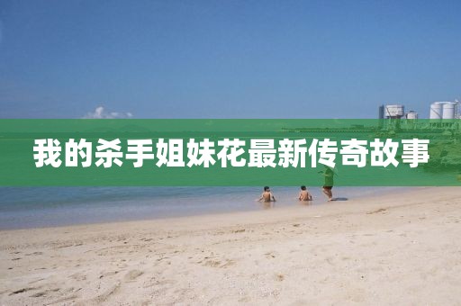 我的杀手姐妹花最新传奇故事