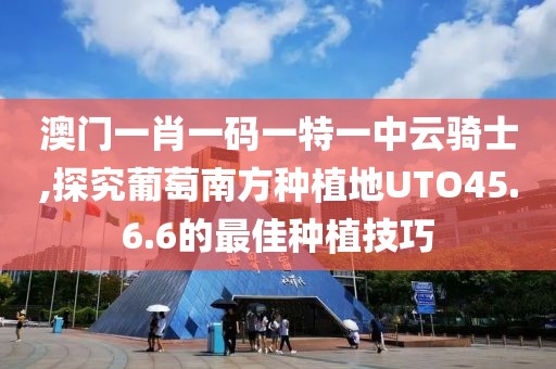 澳门一肖一码一特一中云骑士,探究葡萄南方种植地UTO45.6.6的最佳种植技巧