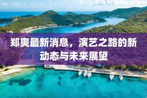 郑爽最新消息，演艺之路的新动态与未来展望