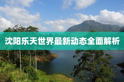 沈阳乐天世界最新动态全面解析