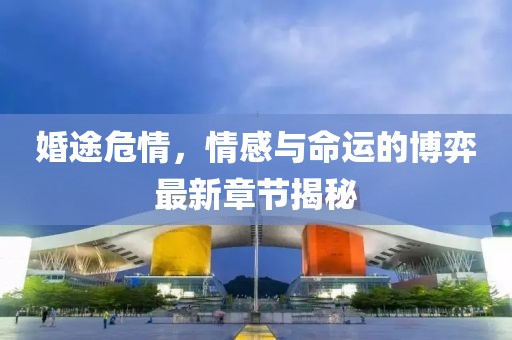 婚途危情，情感与命运的博弈最新章节揭秘