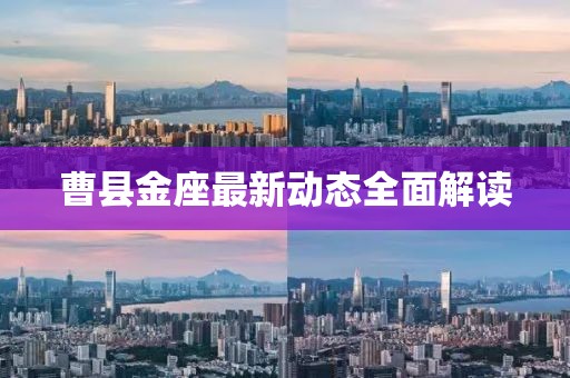 曹县金座最新动态全面解读