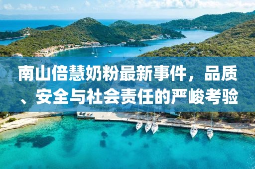 南山倍慧奶粉最新事件，品质、安全与社会责任的严峻考验