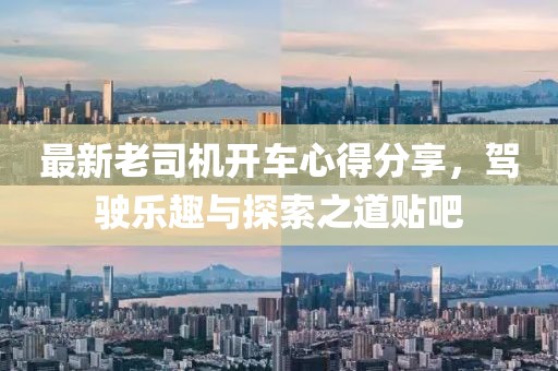 最新老司机开车心得分享，驾驶乐趣与探索之道贴吧