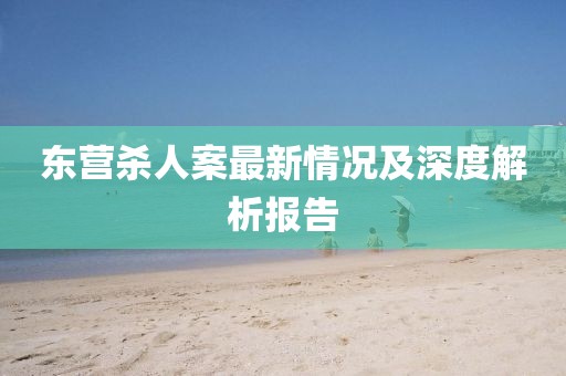 东营杀人案最新情况及深度解析报告