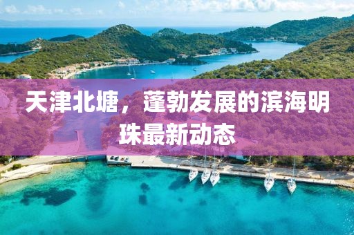 天津北塘，蓬勃发展的滨海明珠最新动态