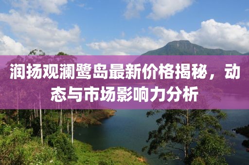 润扬观澜鹭岛最新价格揭秘，动态与市场影响力分析
