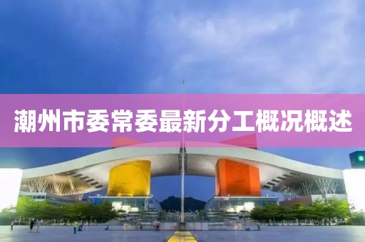 潮州市委常委最新分工概况概述