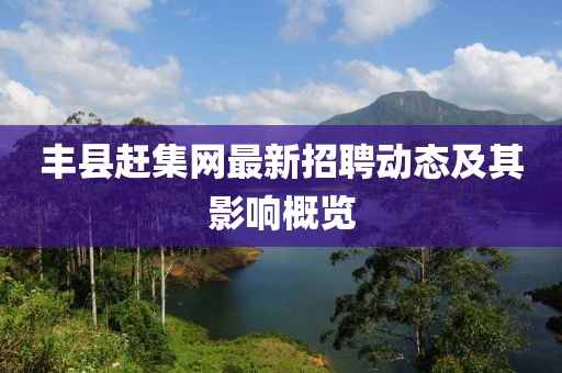 丰县赶集网最新招聘动态及其影响概览
