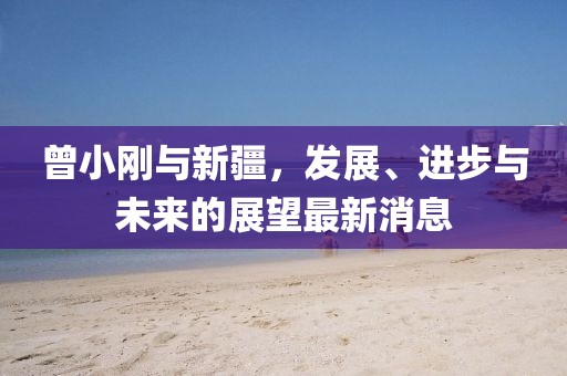 曾小刚与新疆，发展、进步与未来的展望最新消息