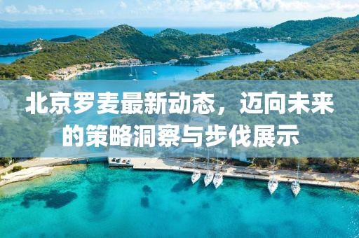 北京罗麦最新动态，迈向未来的策略洞察与步伐展示